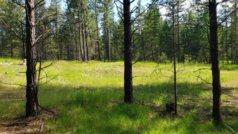 Photo of 151 Coffee Drive, Eureka, MT 59917 (MLS # 30065923)