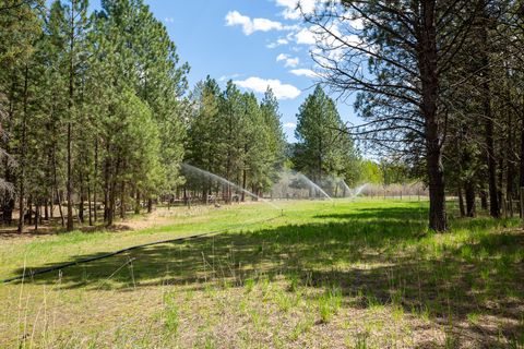 Tiny photo for 6400 Boondock Lane, Clinton, MT 59825 (MLS # 30069461)