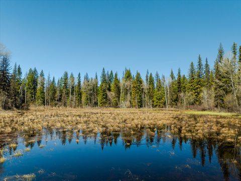 Tiny photo for 675 Beaver Lake Road, Whitefish, MT 59937 (MLS # 30069623)