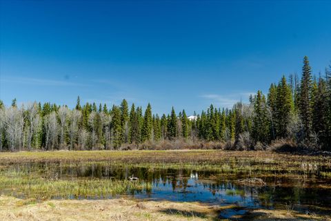 Tiny photo for 675 Beaver Lake Road, Whitefish, MT 59937 (MLS # 30069623)