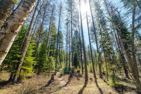 Tiny photo for 675 Beaver Lake Road, Whitefish, MT 59937 (MLS # 30069623)