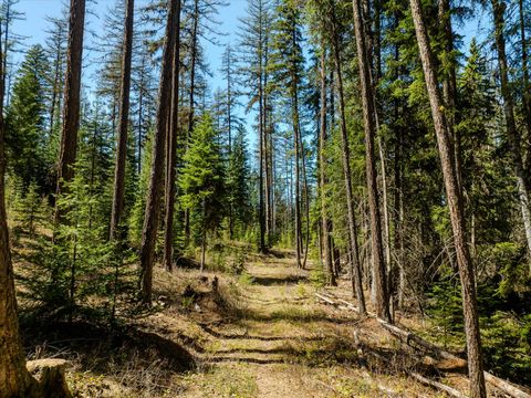Tiny photo for 675 Beaver Lake Road, Whitefish, MT 59937 (MLS # 30069623)