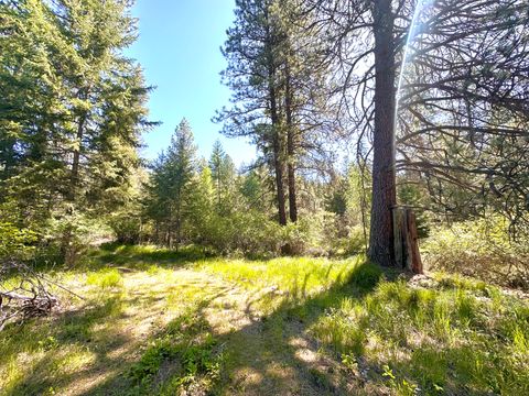 Tiny photo for NHN Humble Lane, Thompson Falls, MT 59873 (MLS # 30070912)