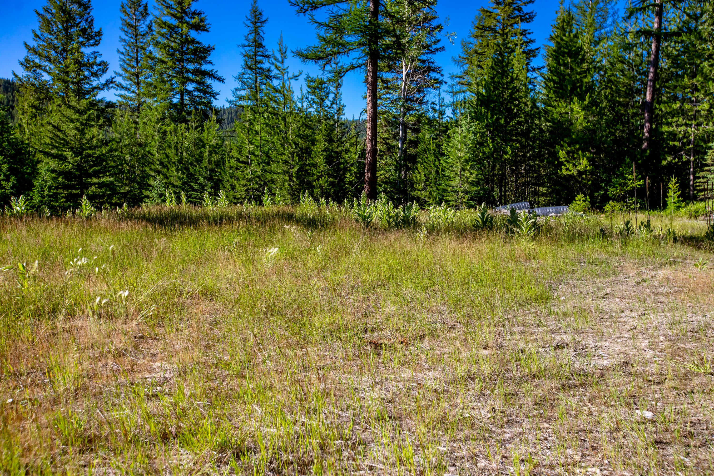 151 Hodge Lake Trail