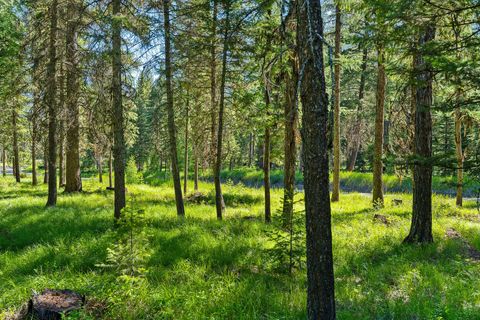Tiny photo for 1252 Whitefish Ranch Road, Whitefish, MT 59937 (MLS # 30054488)