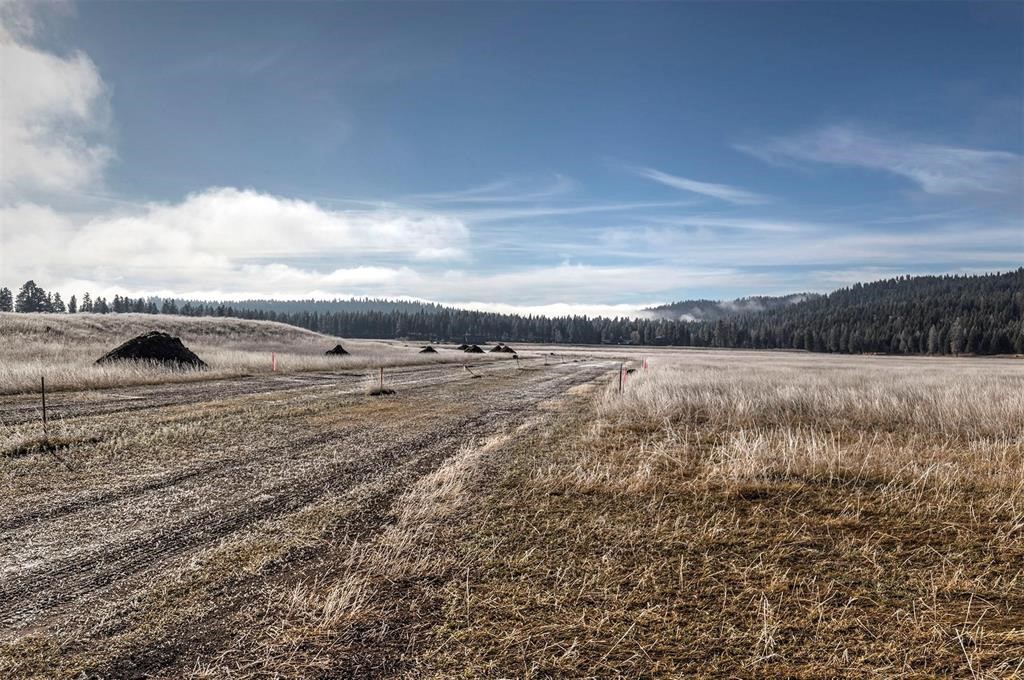 13442 Vannoy Lane (Lot #1)