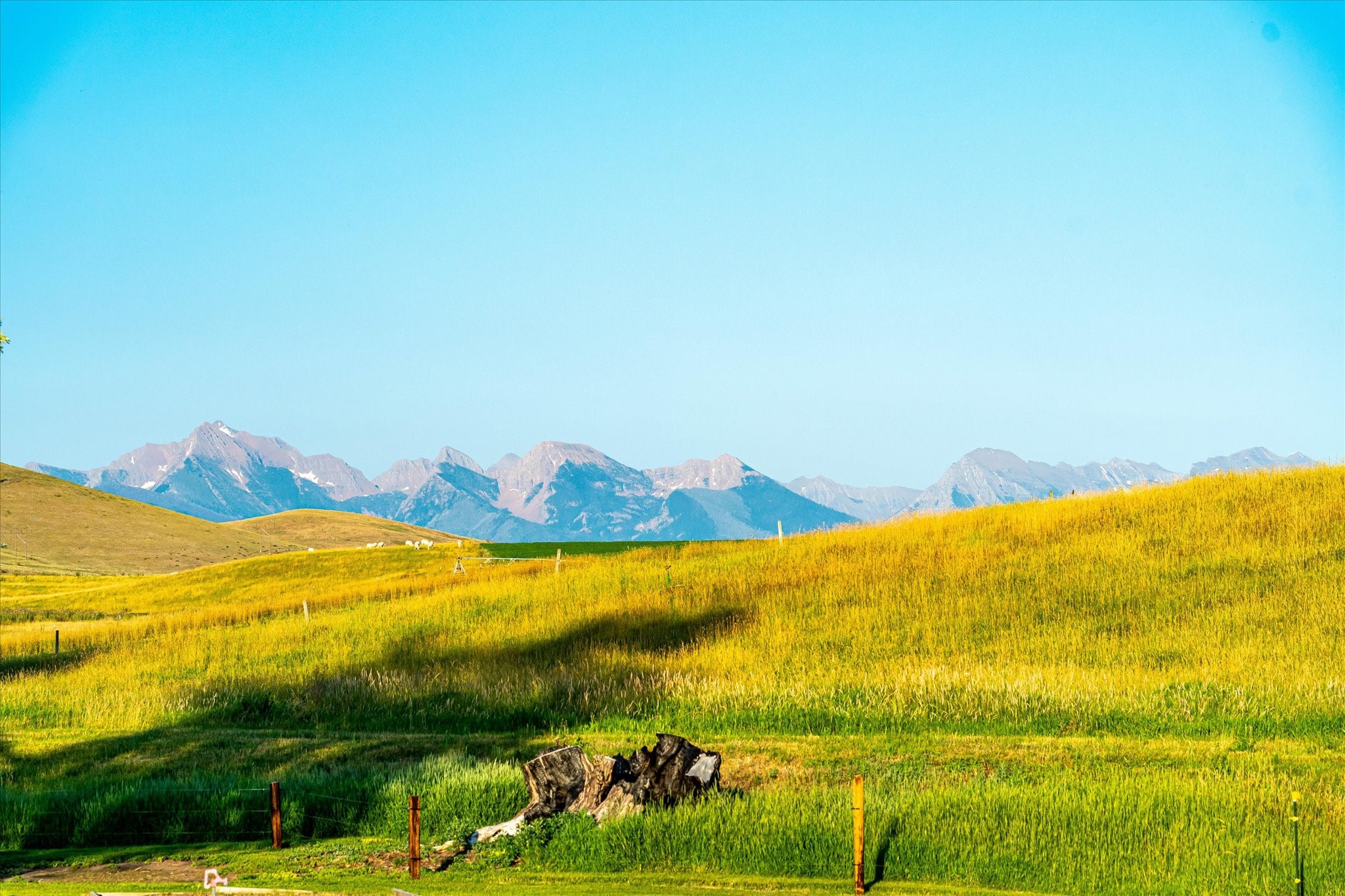 Charlo, Montana 59824, United States, 6 Bedrooms Bedrooms, ,6 BathroomsBathrooms,Residential,Pending,52320