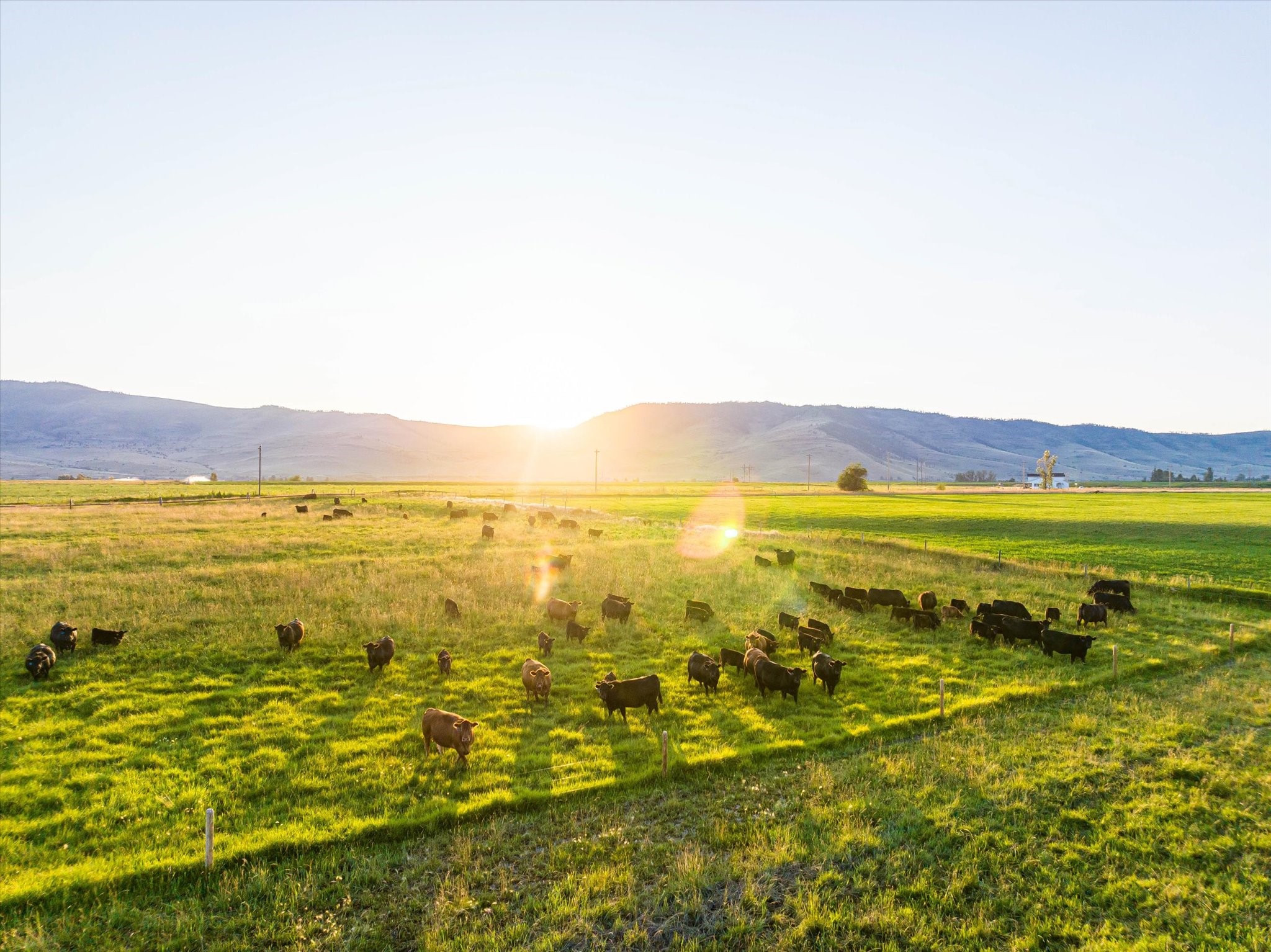 Charlo, Montana 59824, United States, 6 Bedrooms Bedrooms, ,6 BathroomsBathrooms,Residential,Pending,52320