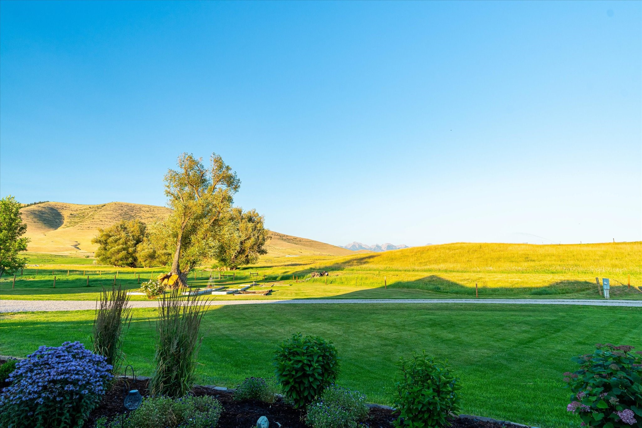 Charlo, Montana 59824, United States, 6 Bedrooms Bedrooms, ,6 BathroomsBathrooms,Residential,Pending,52320