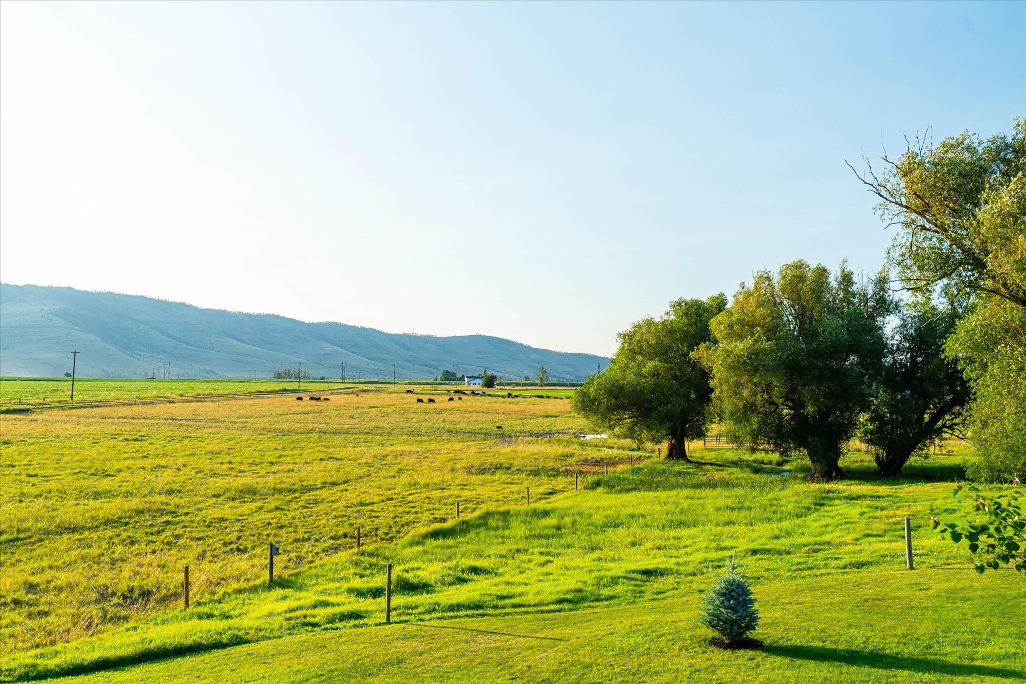 Charlo, Montana 59824, United States, 6 Bedrooms Bedrooms, ,6 BathroomsBathrooms,Residential,Pending,52320