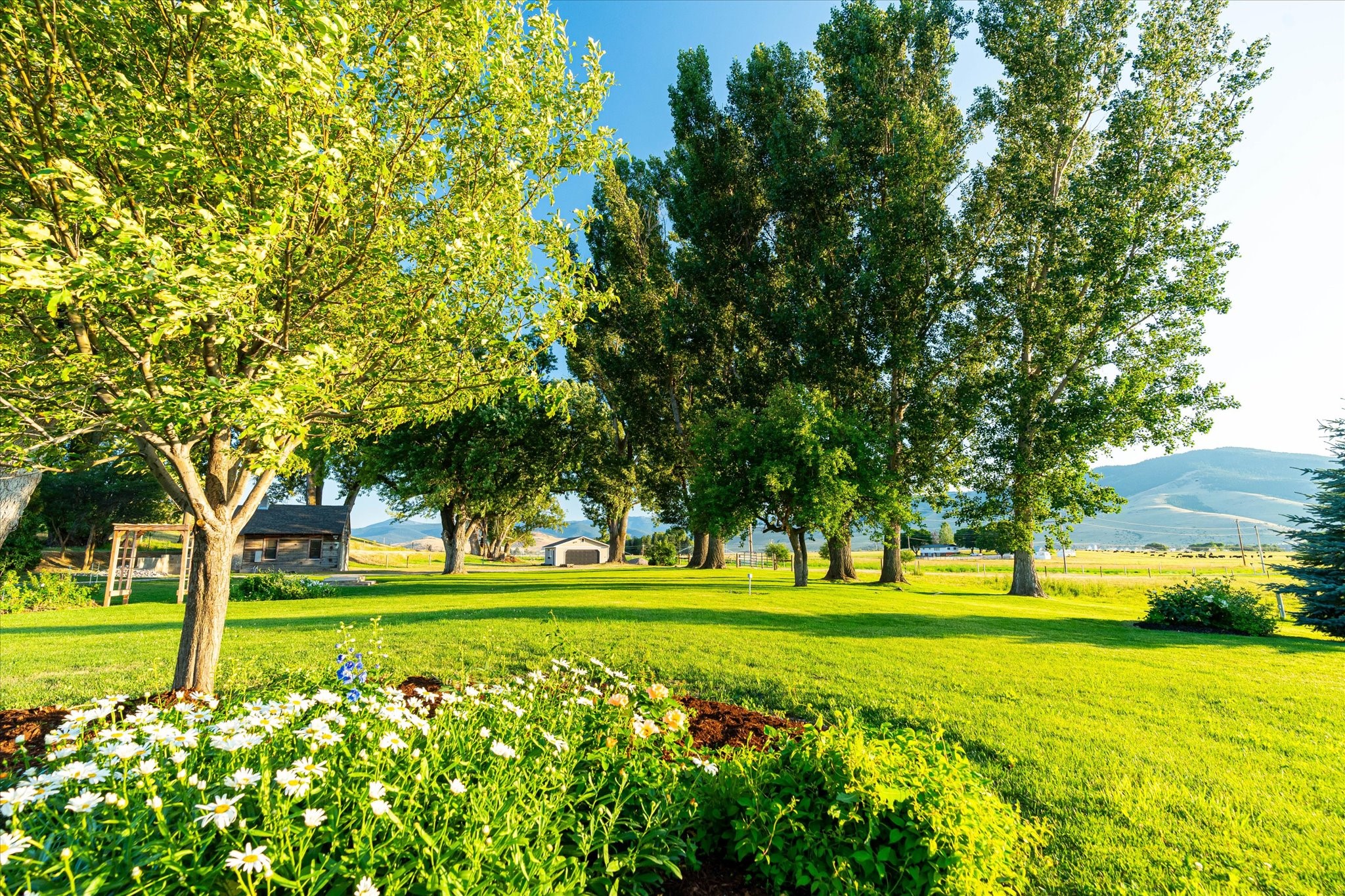 Charlo, Montana 59824, United States, 6 Bedrooms Bedrooms, ,6 BathroomsBathrooms,Residential,Pending,52320