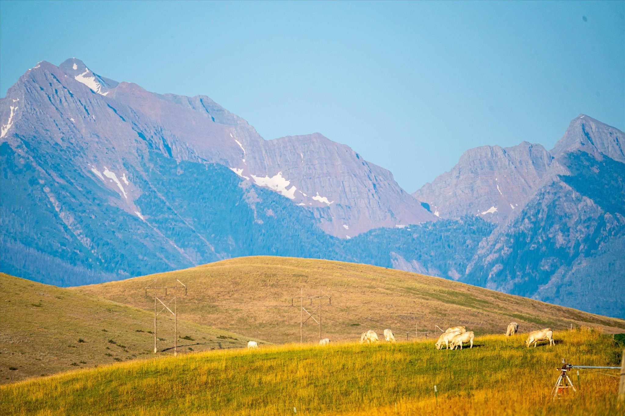 Charlo, Montana 59824, United States, 6 Bedrooms Bedrooms, ,6 BathroomsBathrooms,Residential,Pending,52320