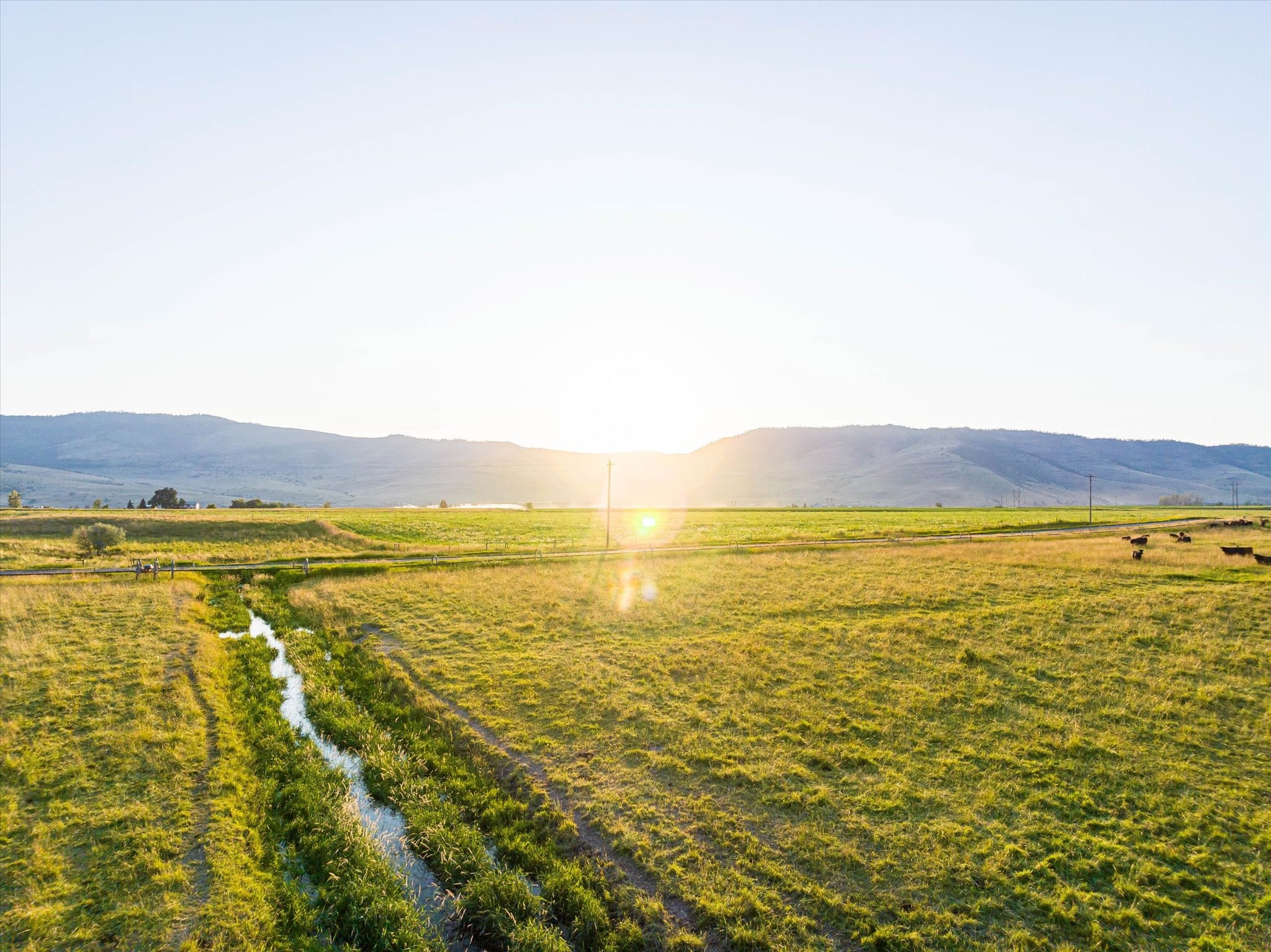 Charlo, Montana 59824, United States, 6 Bedrooms Bedrooms, ,6 BathroomsBathrooms,Residential,Pending,52320