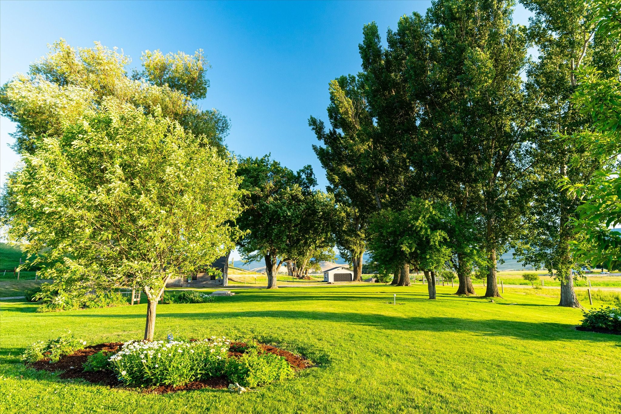 Charlo, Montana 59824, United States, 6 Bedrooms Bedrooms, ,6 BathroomsBathrooms,Residential,Pending,52320