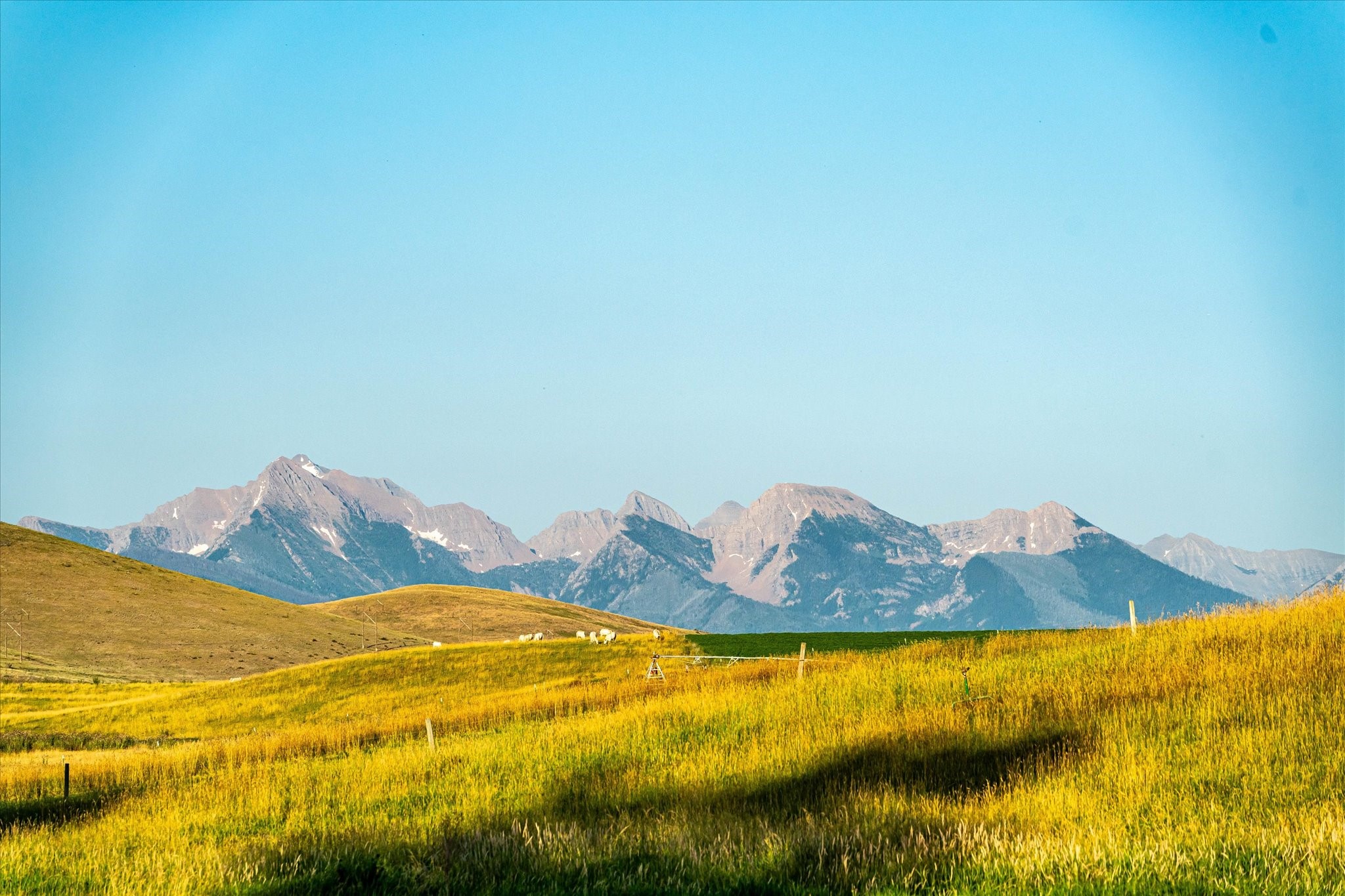 Charlo, Montana 59824, United States, 6 Bedrooms Bedrooms, ,6 BathroomsBathrooms,Residential,Pending,52320