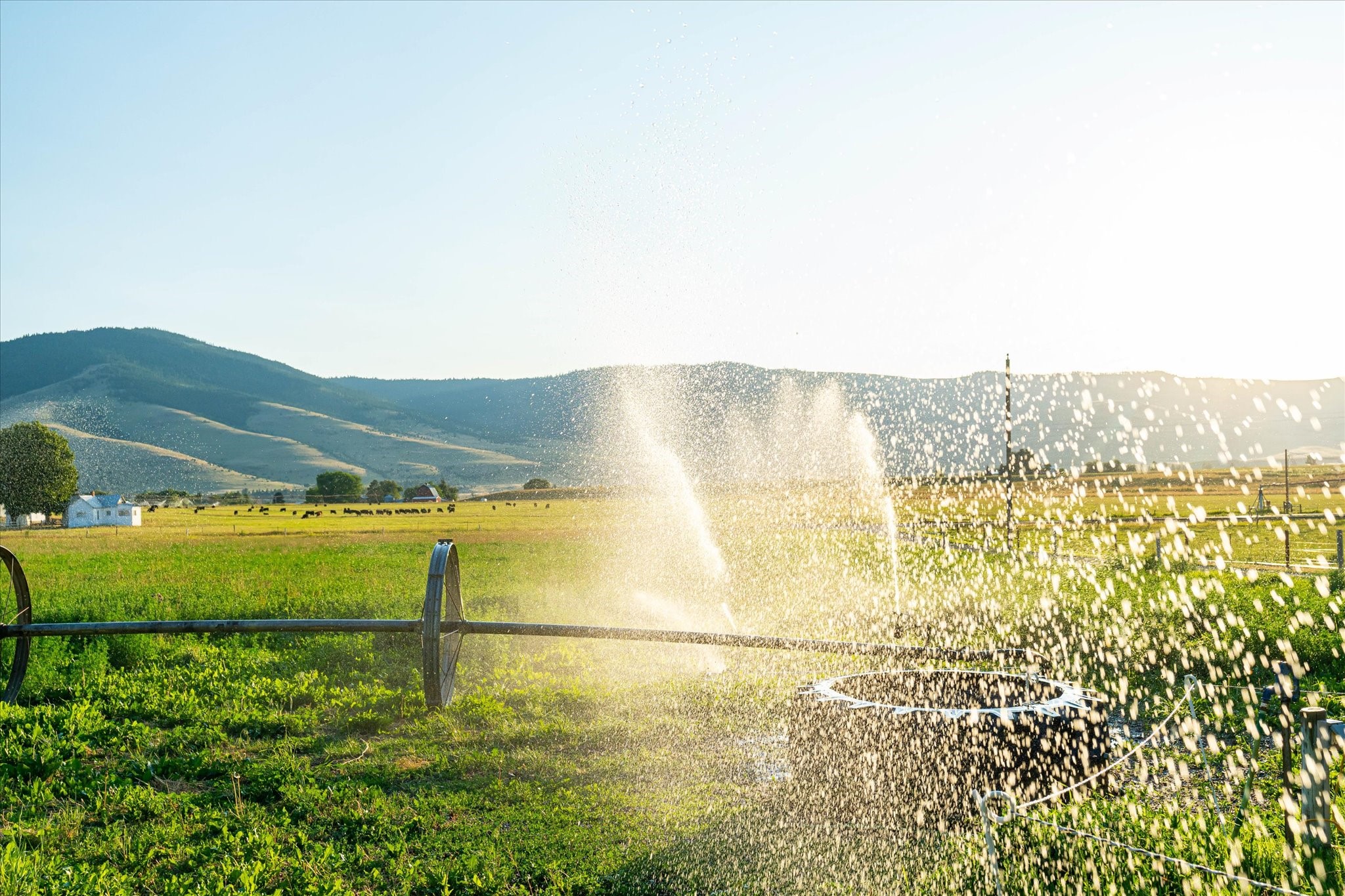 Charlo, Montana 59824, United States, 6 Bedrooms Bedrooms, ,6 BathroomsBathrooms,Residential,Pending,52320