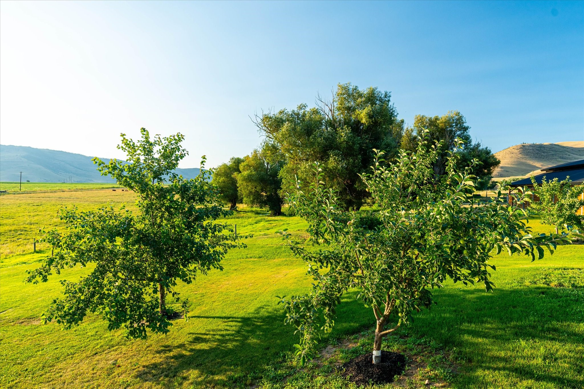 Charlo, Montana 59824, United States, 6 Bedrooms Bedrooms, ,6 BathroomsBathrooms,Residential,Pending,52320