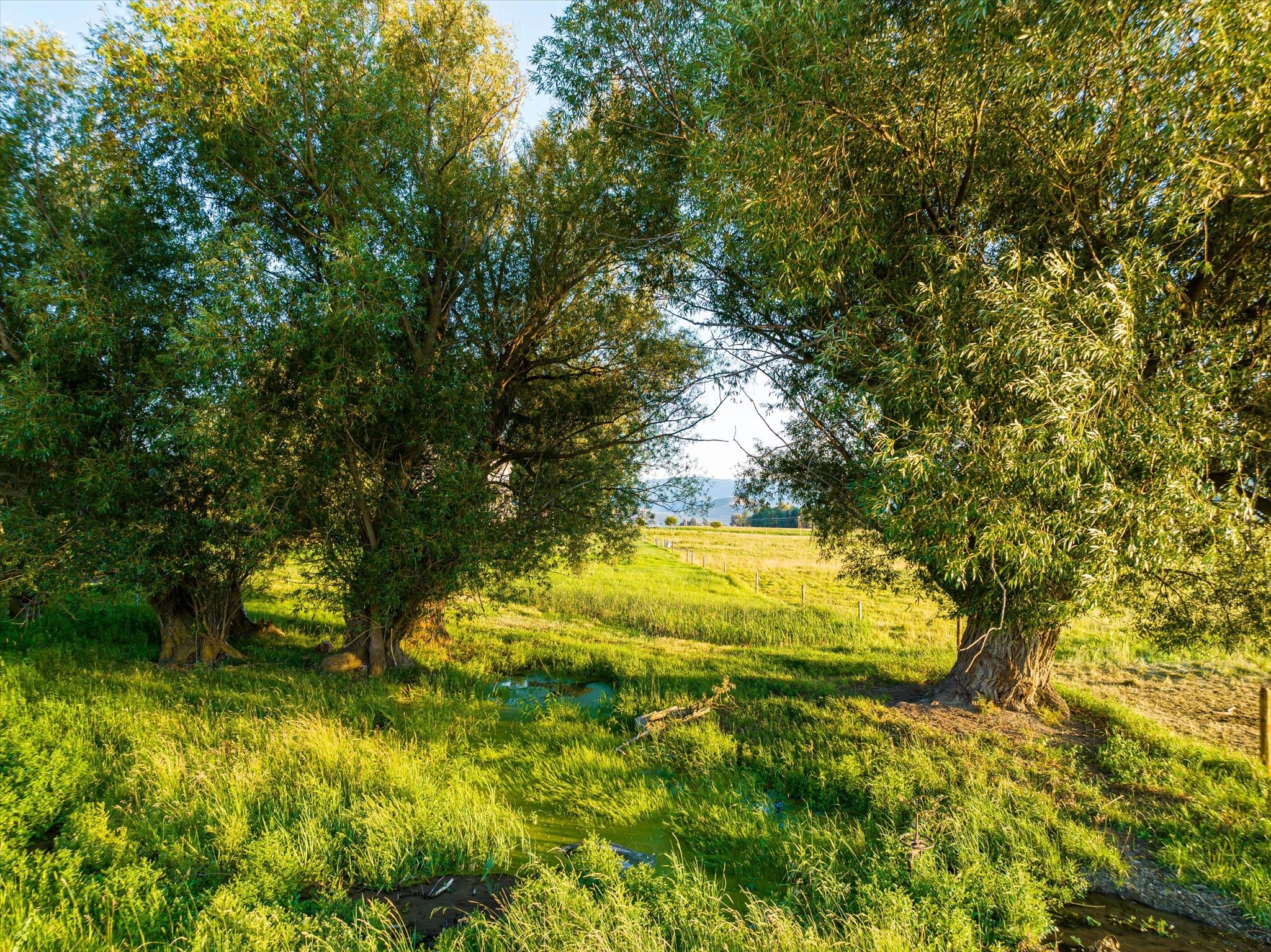 Charlo, Montana 59824, United States, 6 Bedrooms Bedrooms, ,6 BathroomsBathrooms,Residential,Pending,52320