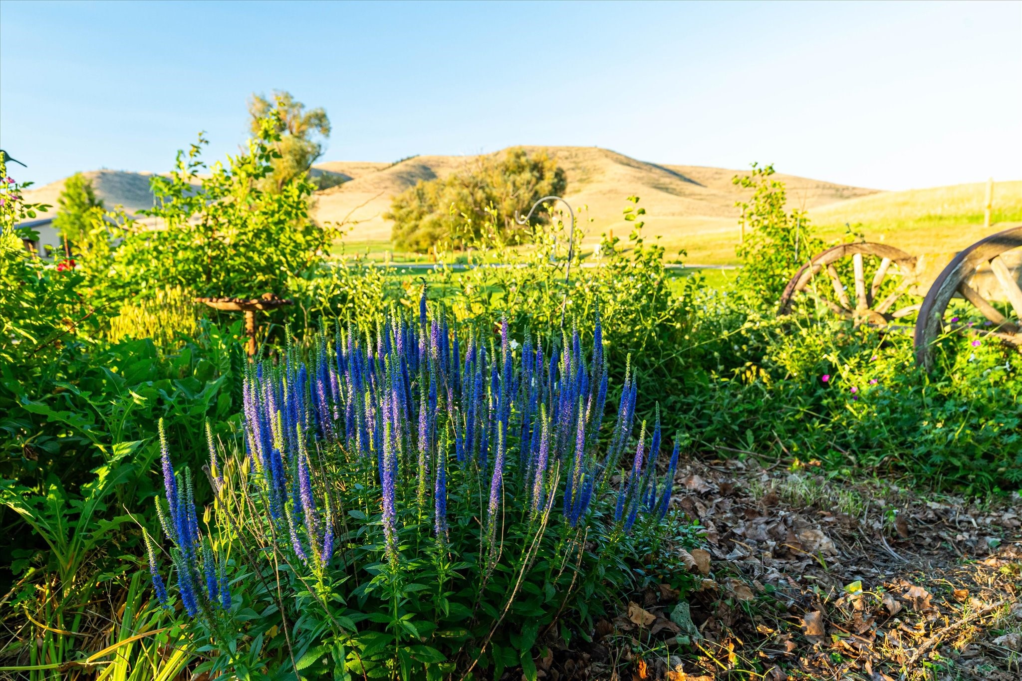 Charlo, Montana 59824, United States, 6 Bedrooms Bedrooms, ,6 BathroomsBathrooms,Residential,Pending,52320