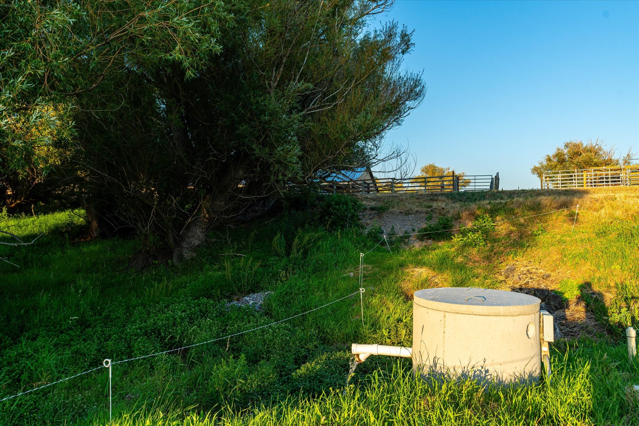 Charlo, Montana 59824, United States, 6 Bedrooms Bedrooms, ,6 BathroomsBathrooms,Residential,Pending,52320