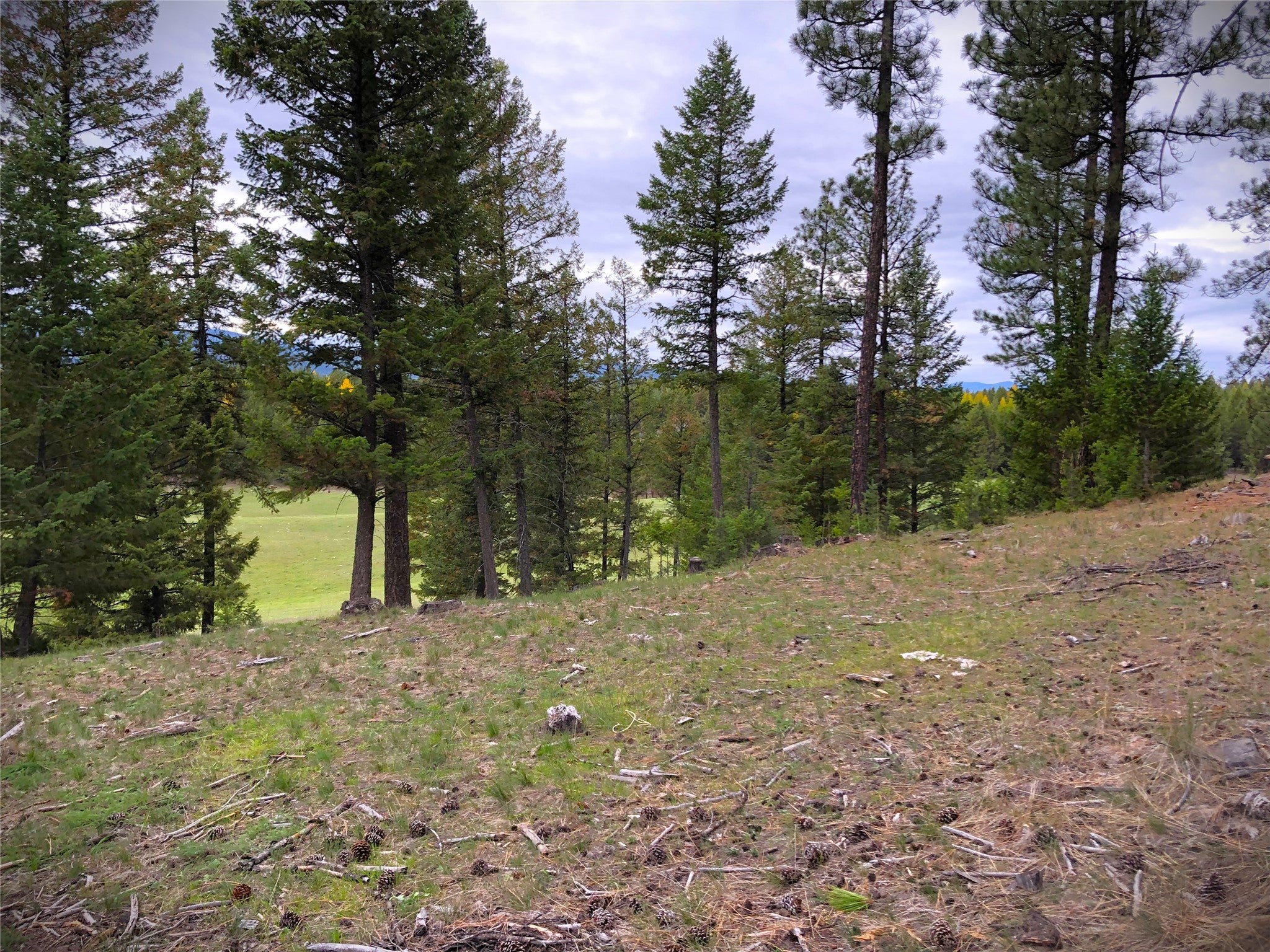 NHN Therriault Creek Road
