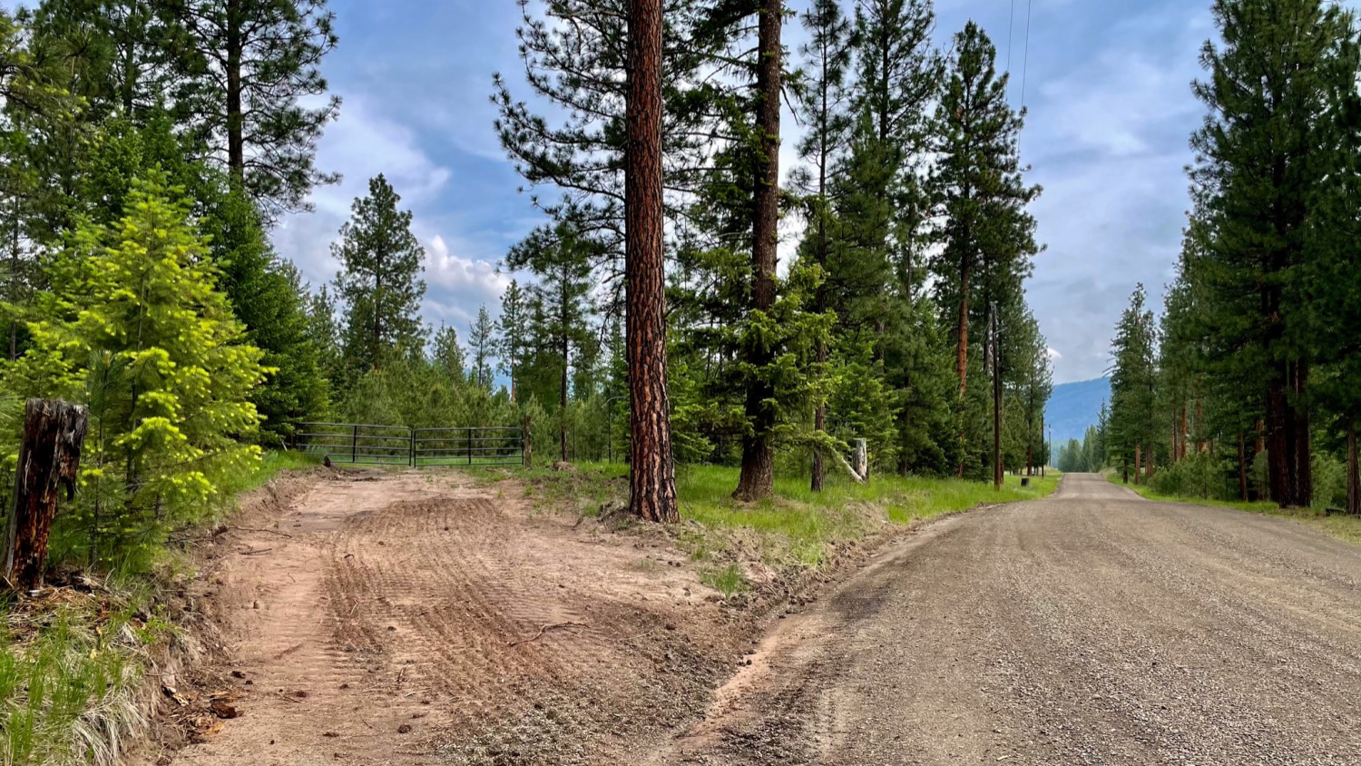 Nhn Blackjack Road