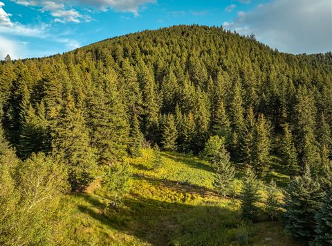 Tiny photo for 12 Highland Road, Mcleod, MT 59052 (MLS # 30056828)