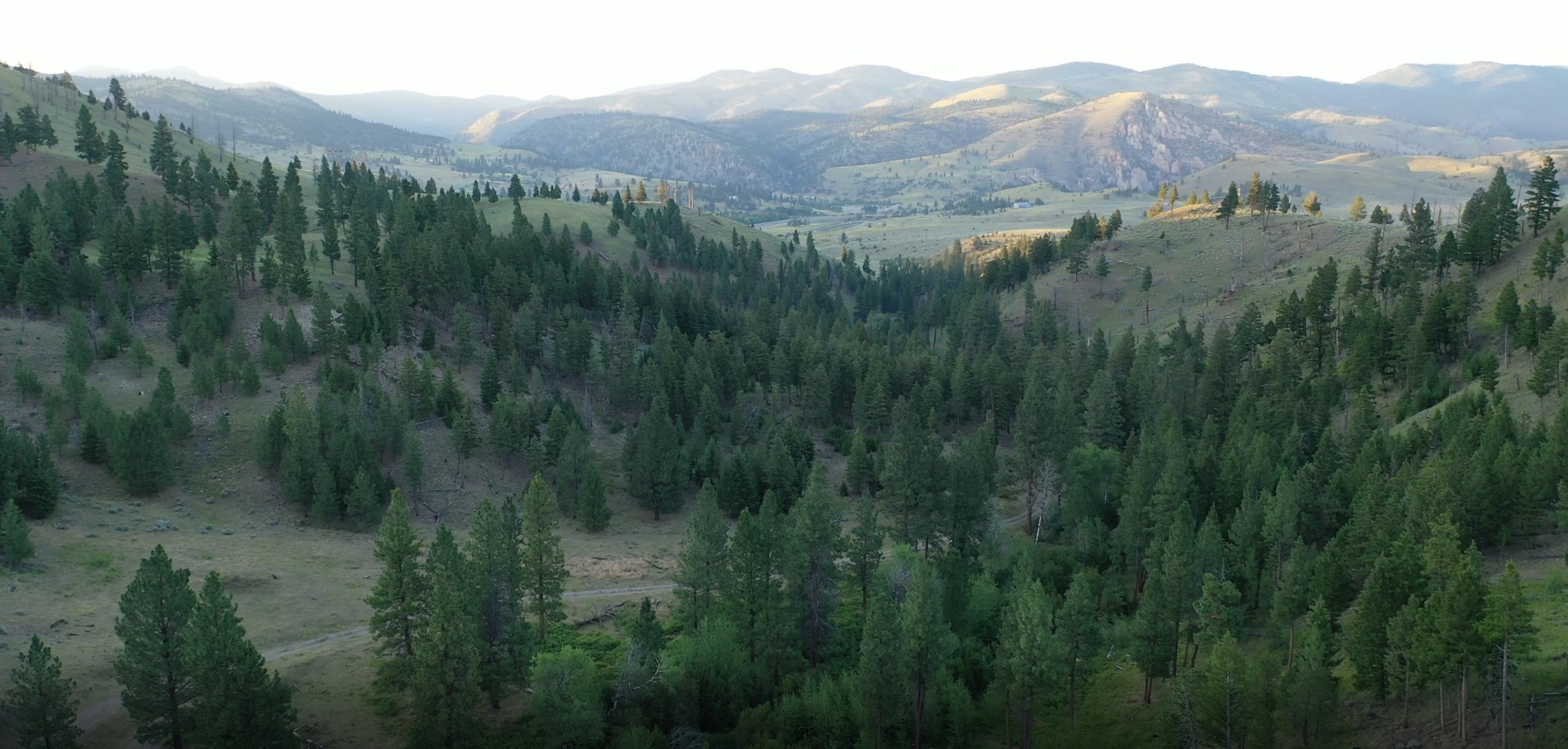 1 Tract, Bull Elk