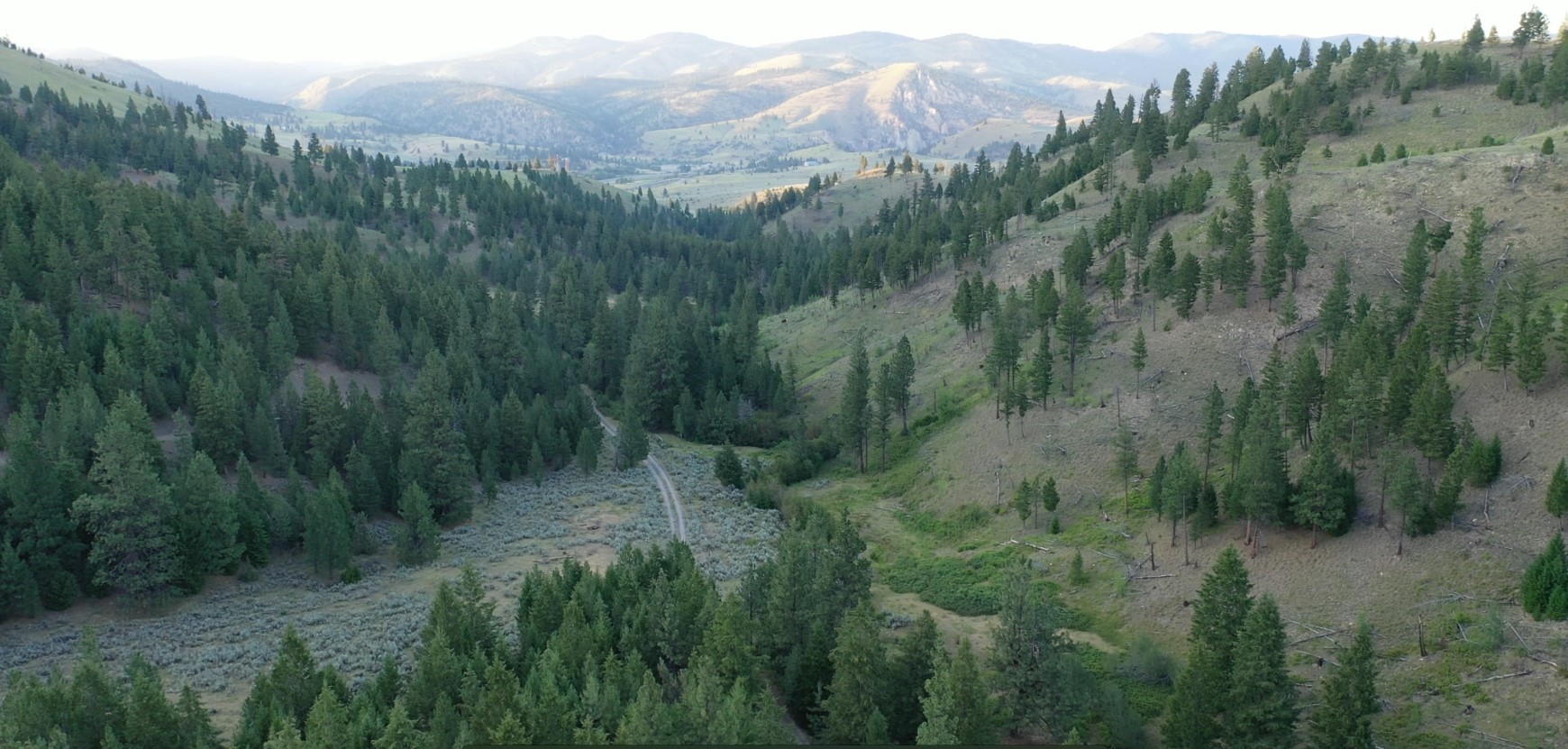 1 Tract, Bull Elk