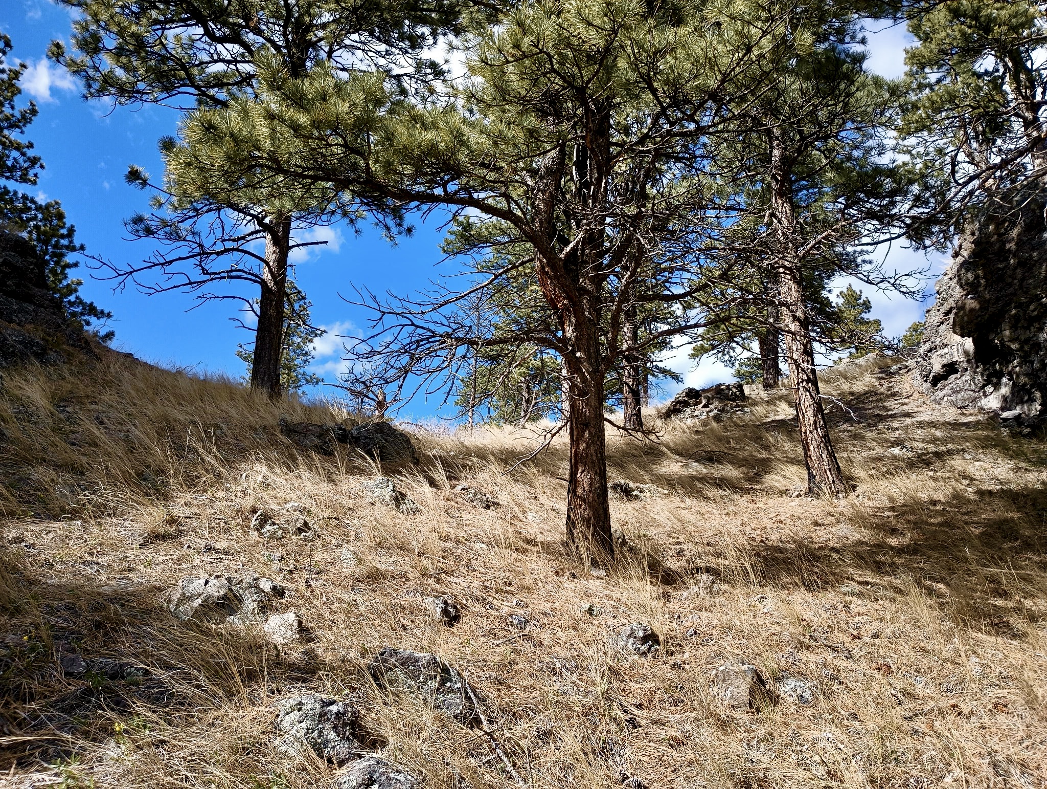 TBD Novak Creek Lane