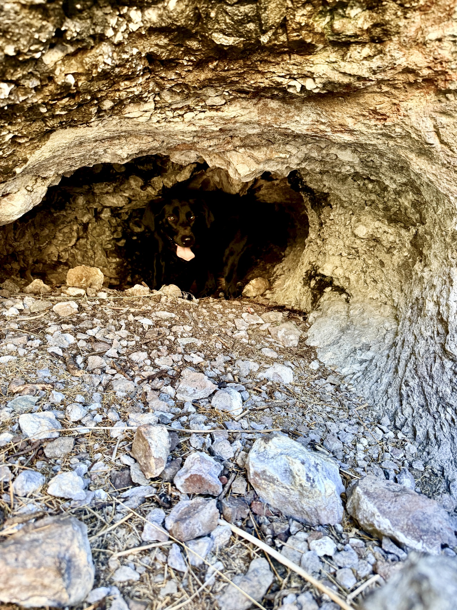 TBD Novak Creek Lane