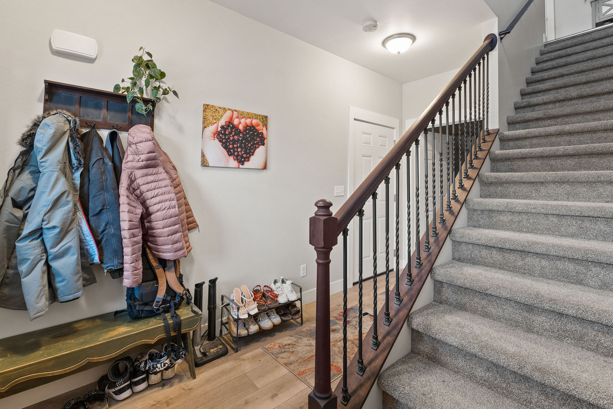 326 Mountain Vista Way