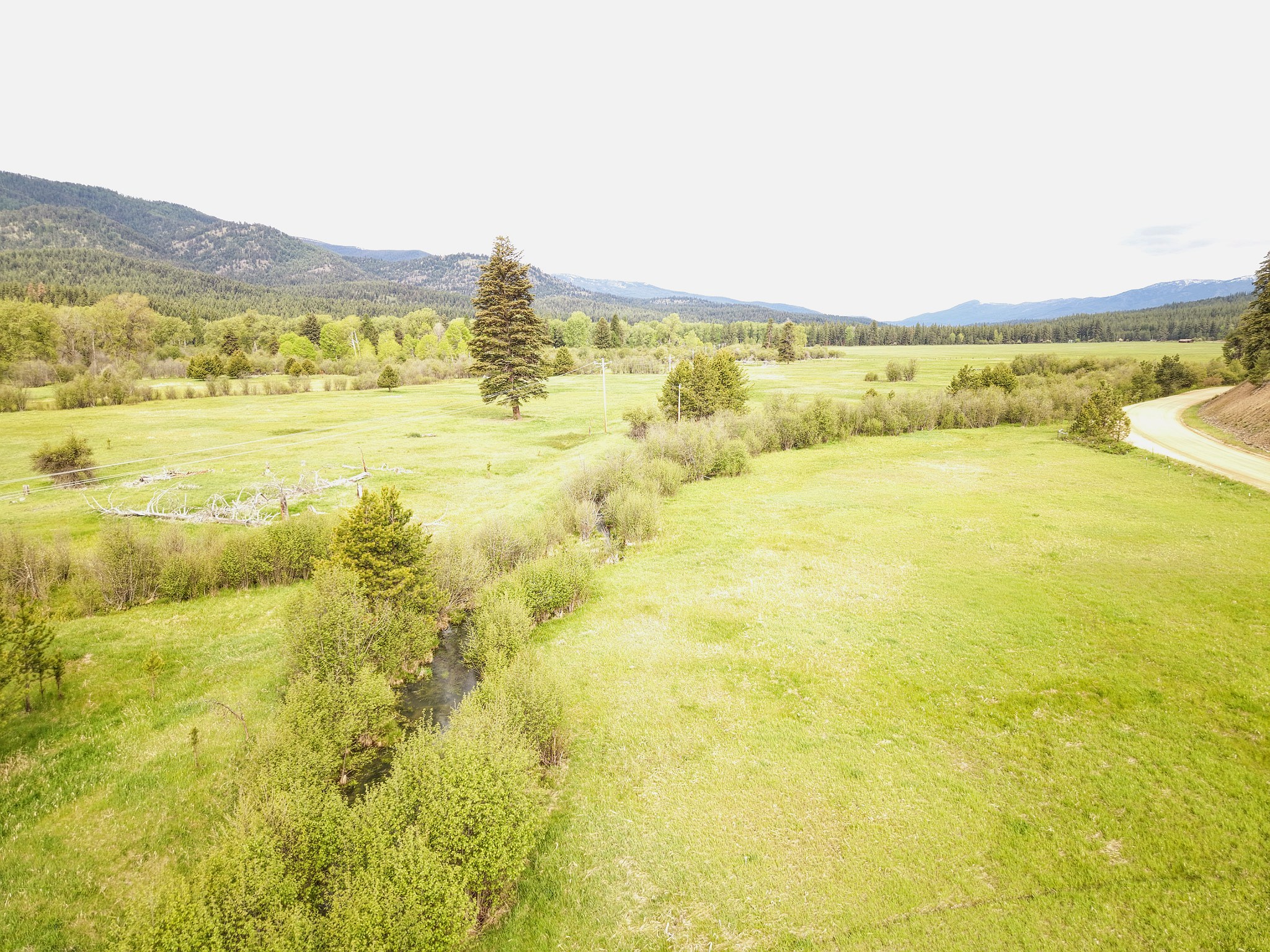 24405 Nine Mile Road