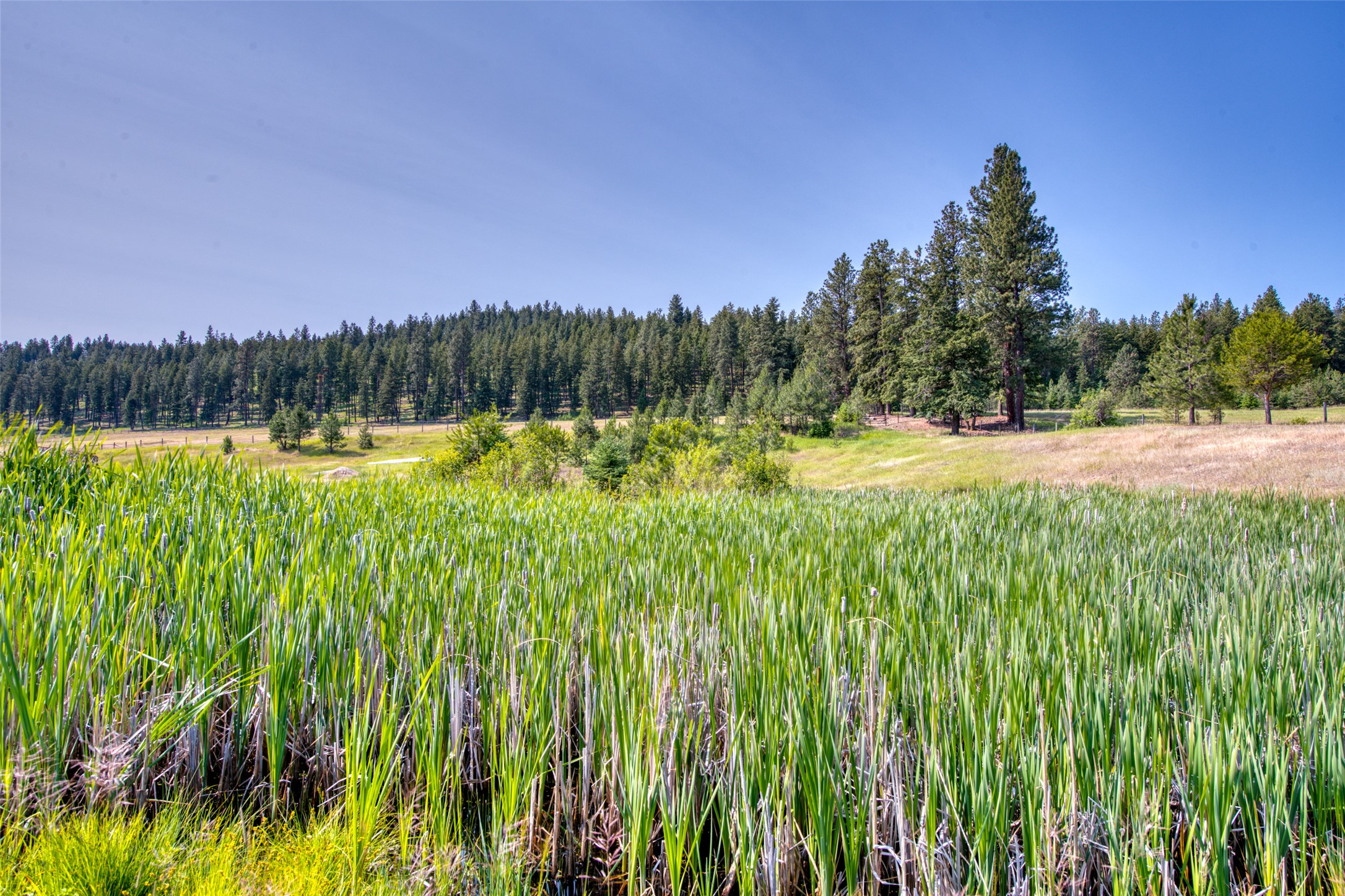 Darby, Montana 59829, United States, 3 Bedrooms Bedrooms, ,4 BathroomsBathrooms,Residential,Active,37707