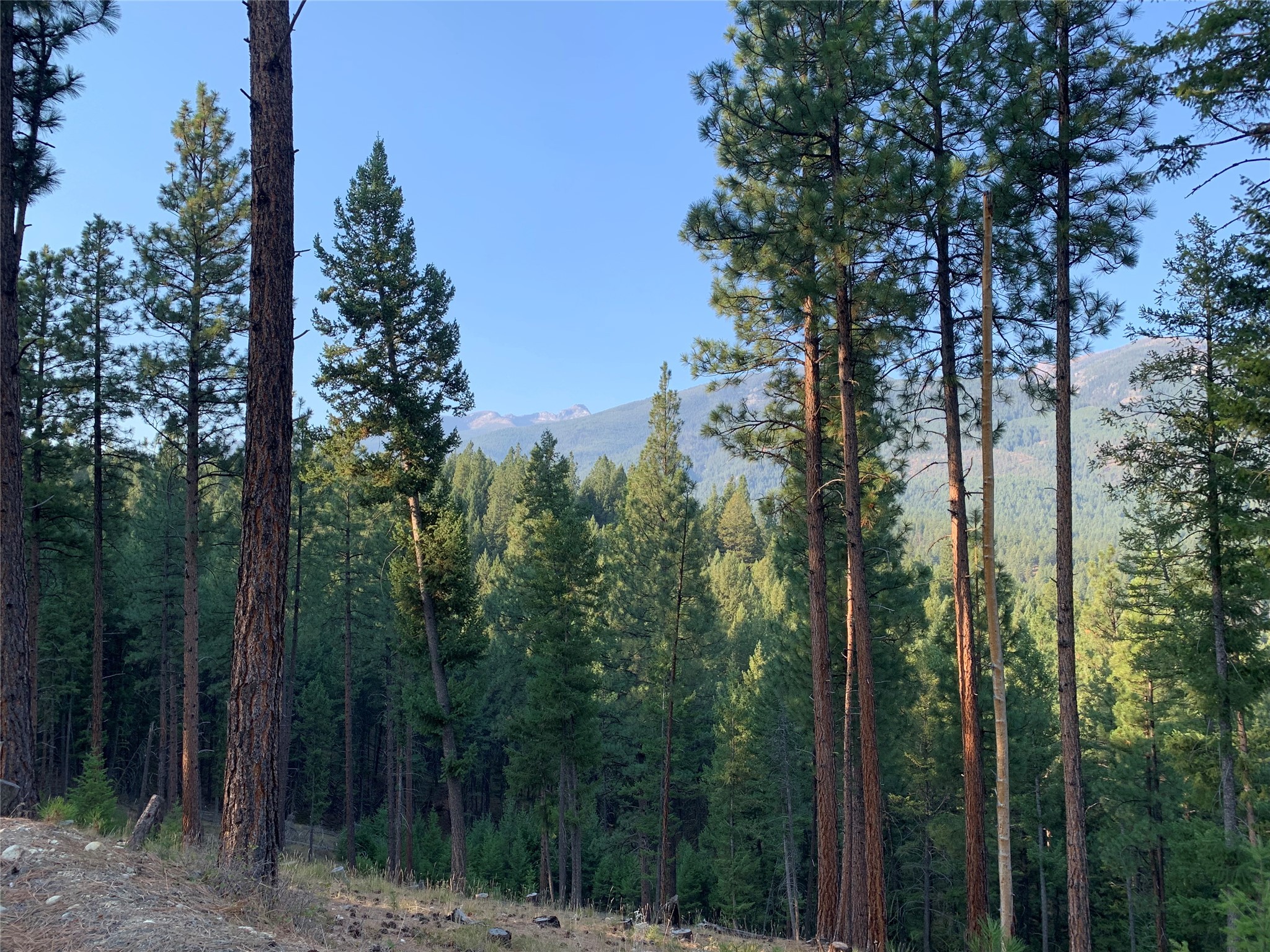 Darby, Montana 59829, United States, 3 Bedrooms Bedrooms, ,4 BathroomsBathrooms,Residential,Active,37707