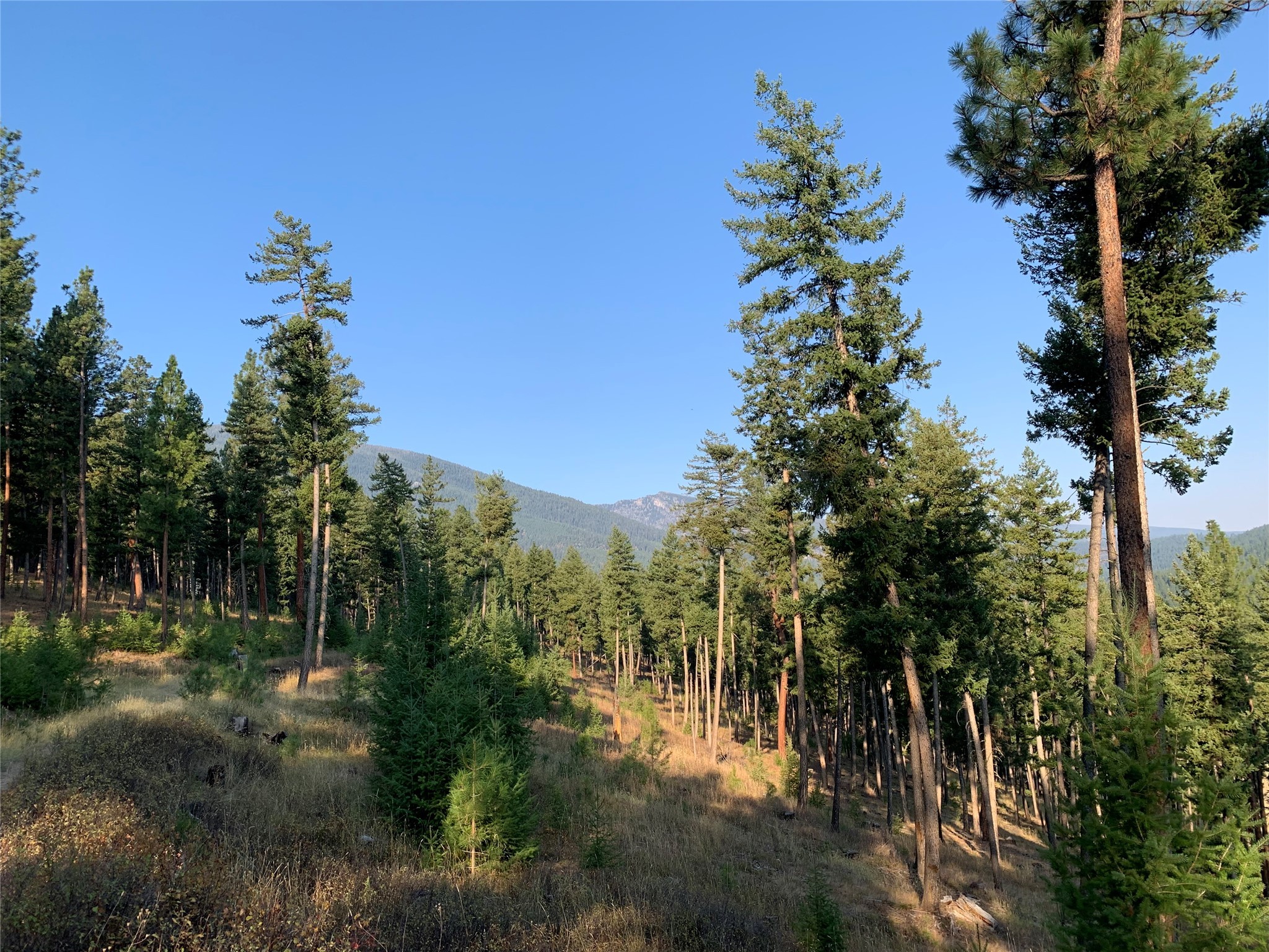 Darby, Montana 59829, United States, 3 Bedrooms Bedrooms, ,4 BathroomsBathrooms,Residential,Active,37707