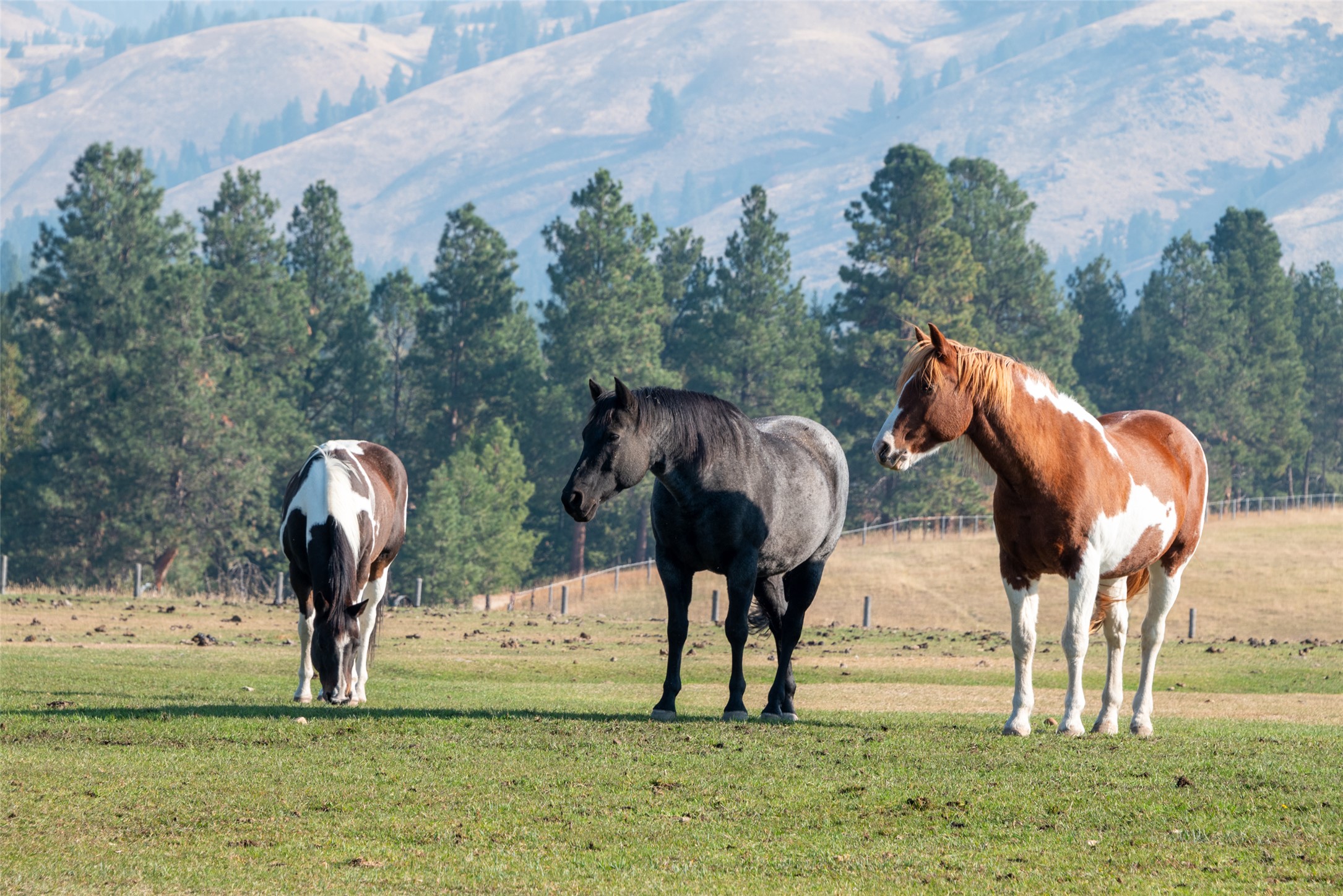 Darby, Montana 59829, United States, 3 Bedrooms Bedrooms, ,4 BathroomsBathrooms,Residential,Active,37707