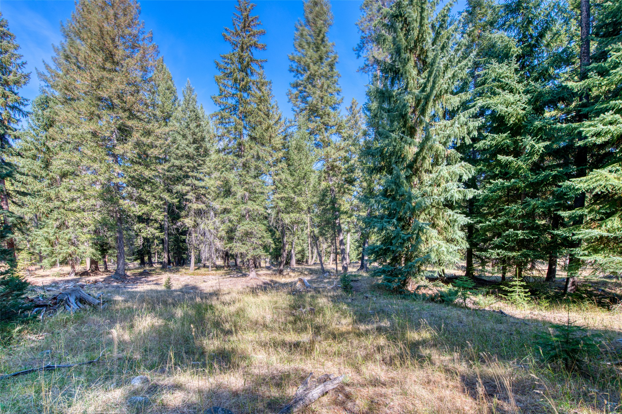 Darby, Montana 59829, United States, 3 Bedrooms Bedrooms, ,4 BathroomsBathrooms,Residential,Active,37707