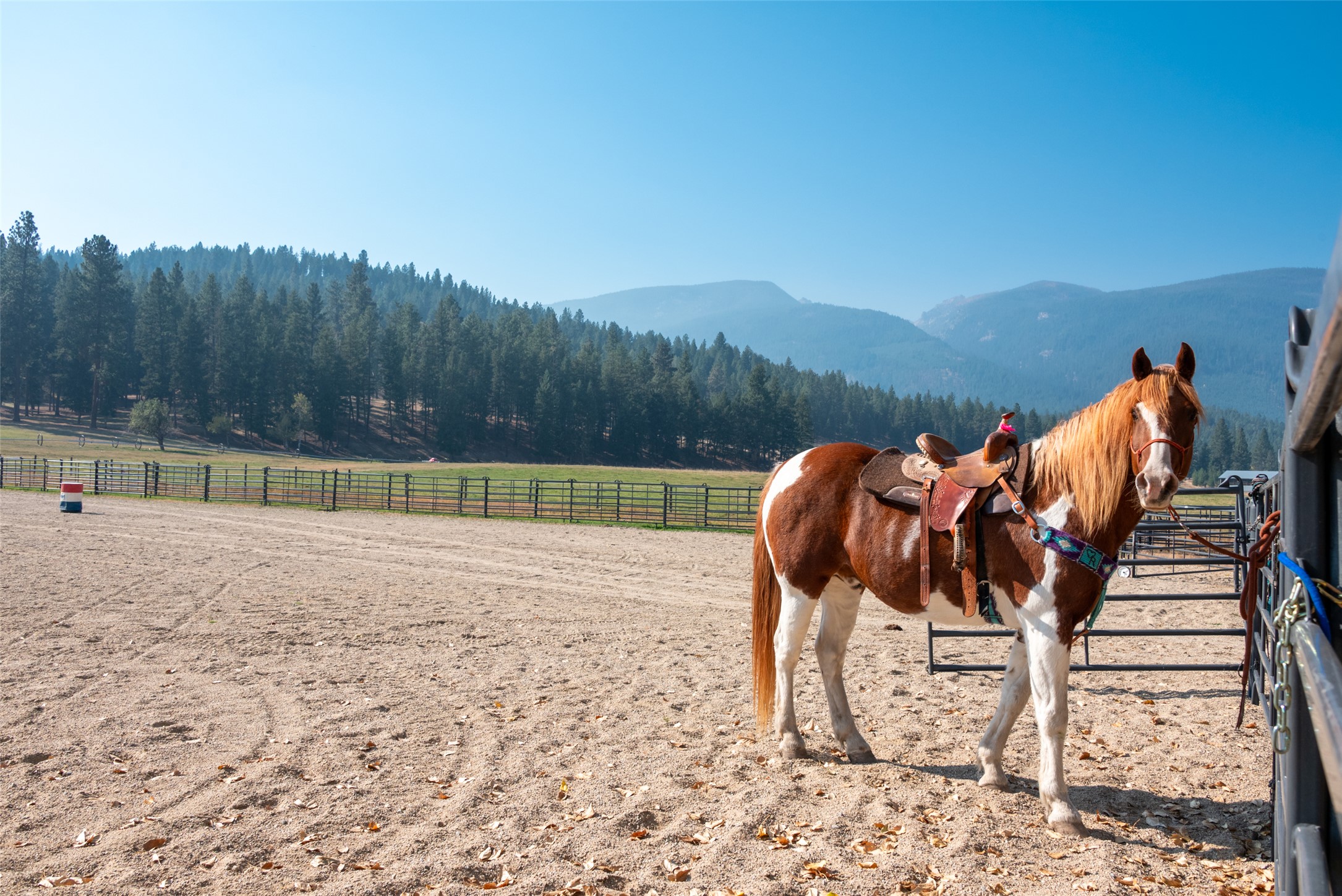 Darby, Montana 59829, United States, 3 Bedrooms Bedrooms, ,4 BathroomsBathrooms,Residential,Active,37707