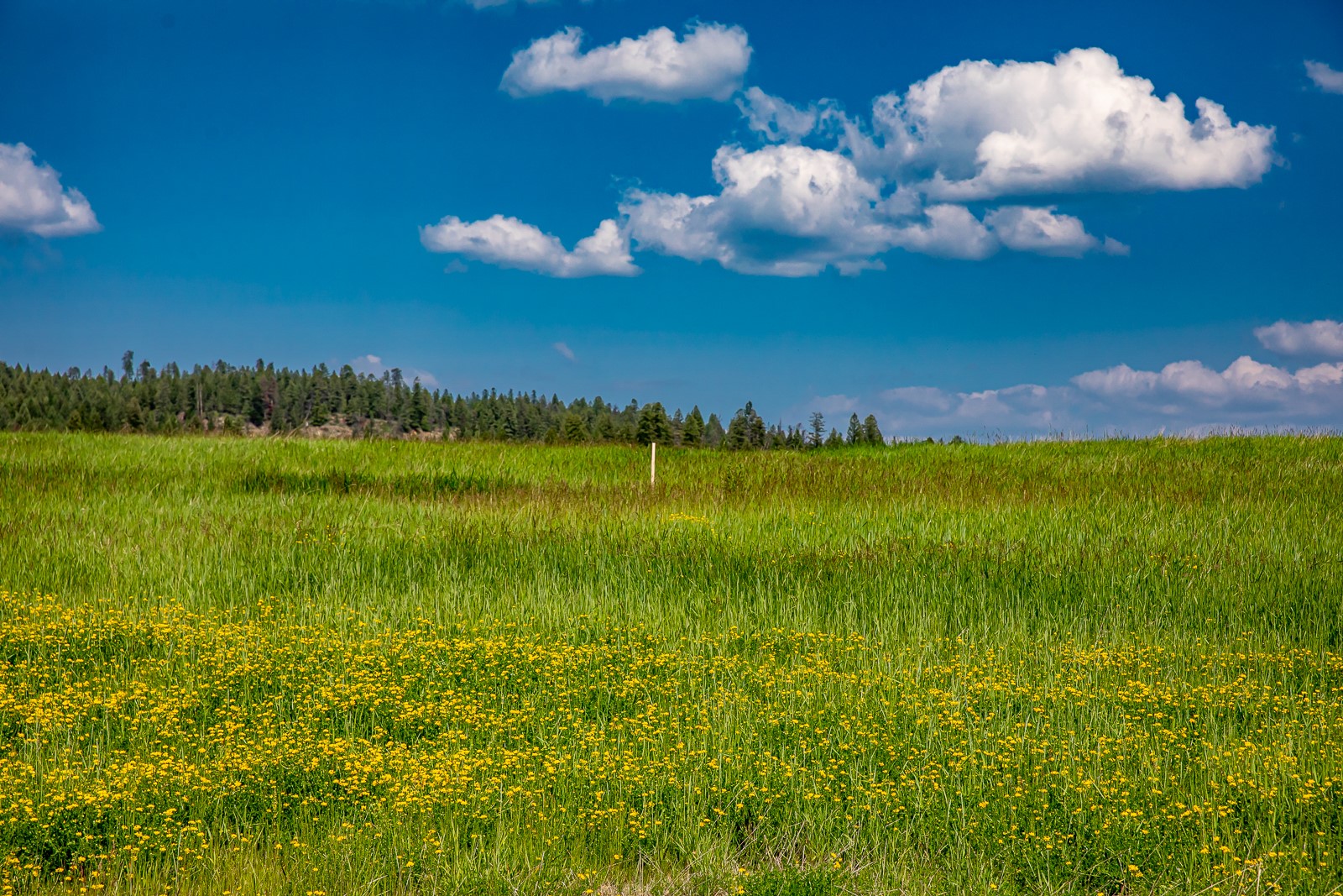 325 River Ranch Road Lot 7