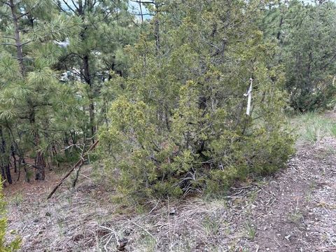 Tiny photo for 2511 Gold Rush Avenue, Helena, MT 59601 (MLS # 30070628)