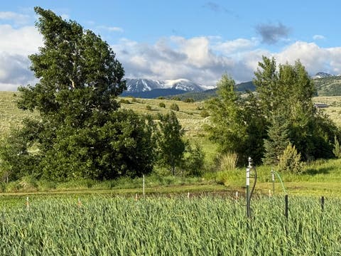 Tiny photo for 426 Antelope Creek Road, Pony, MT 59747 (MLS # 30075928)