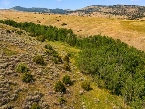 Tiny photo for 426 Antelope Creek Road, Pony, MT 59747 (MLS # 30075928)
