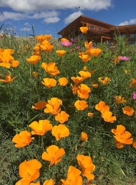 Tiny photo for 426 Antelope Creek Road, Pony, MT 59747 (MLS # 30075928)