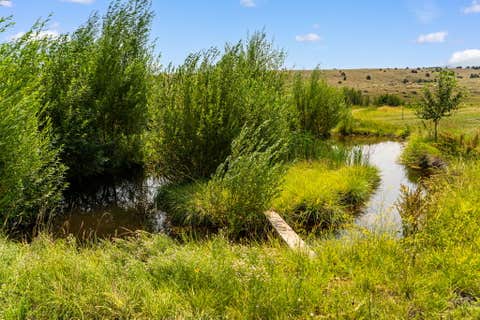 Tiny photo for 426 Antelope Creek Road, Pony, MT 59747 (MLS # 30075928)