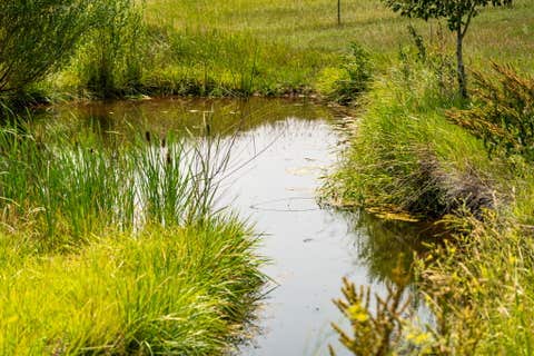 Tiny photo for 426 Antelope Creek Road, Pony, MT 59747 (MLS # 30075928)