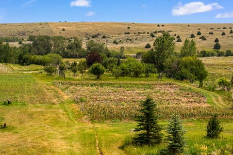 Tiny photo for 426 Antelope Creek Road, Pony, MT 59747 (MLS # 30075928)