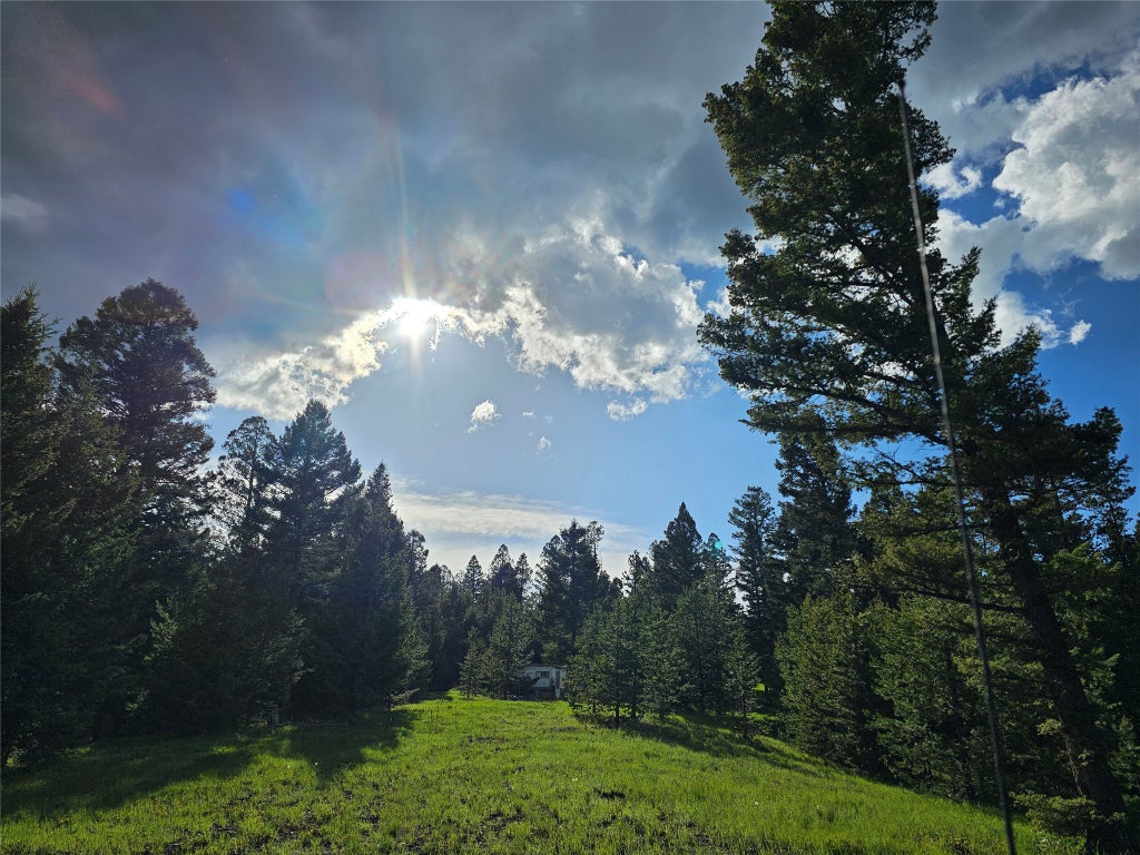 Photo of NHN Hematite Road, Gold Creek, MT 59733 (MLS # 30071321)