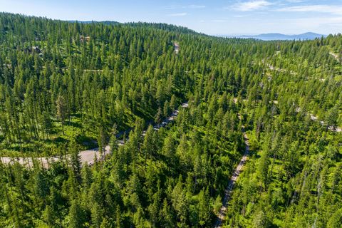 Tiny photo for 173 Timberjack Trail, Bigfork, MT 59911 (MLS # 30069964)