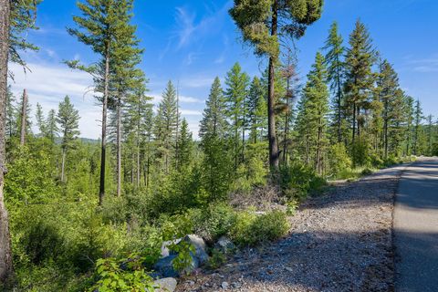 Tiny photo for 173 Timberjack Trail, Bigfork, MT 59911 (MLS # 30069964)